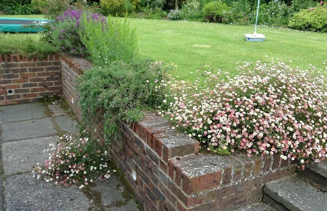 Courtlands Nurseries B&B-1
